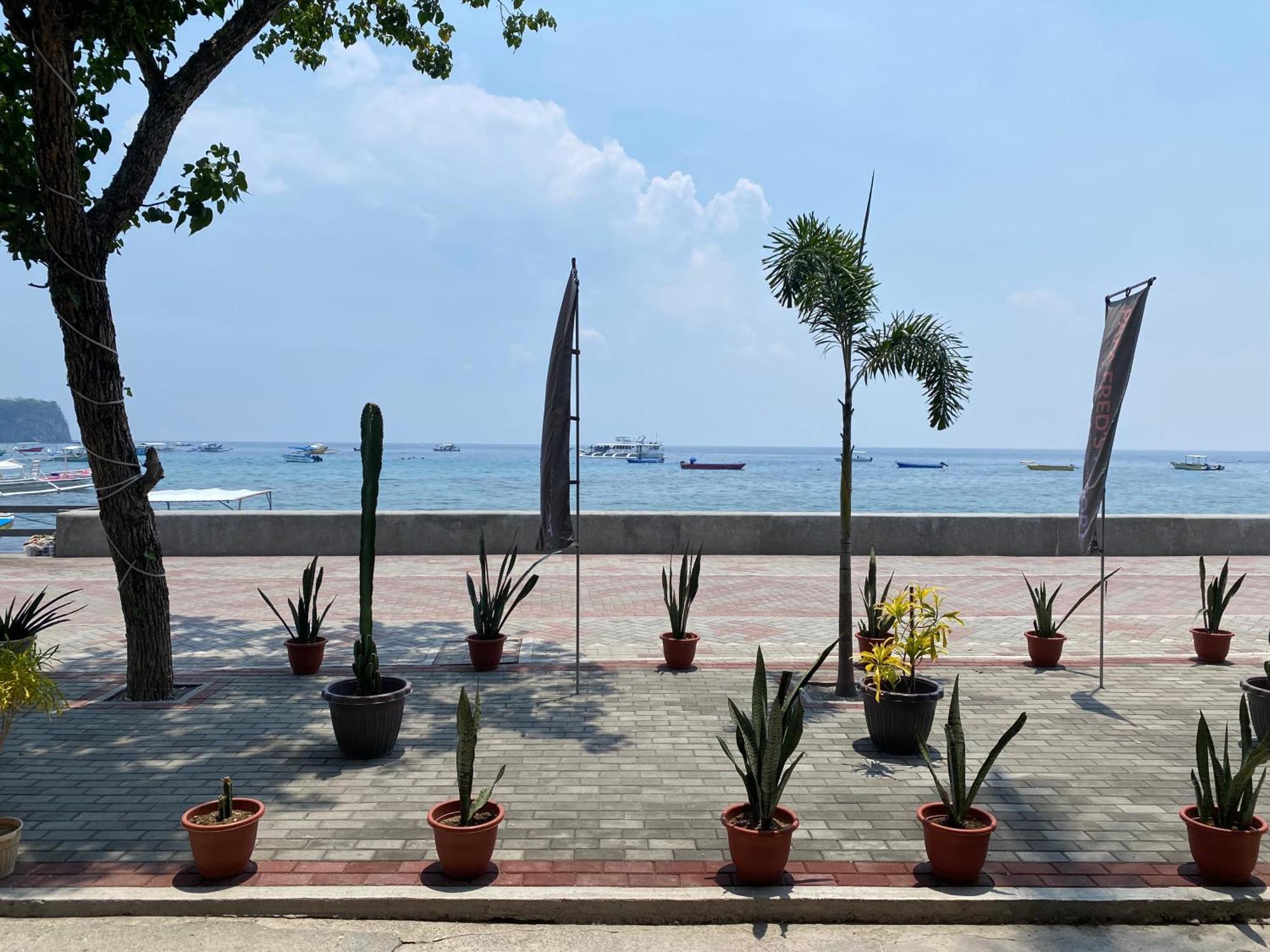 Papa Freds Beach Resort Puerto Galera Exterior foto