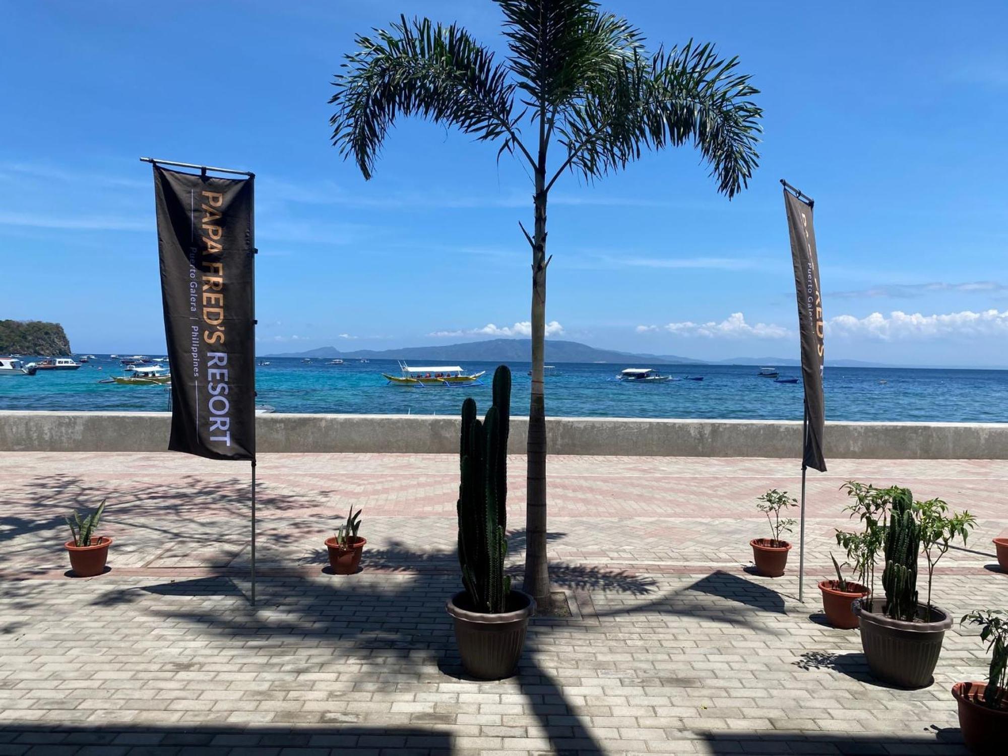 Papa Freds Beach Resort Puerto Galera Exterior foto